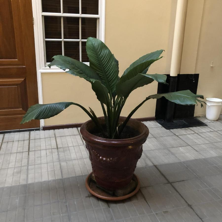 101 Suites Paramaribo Eksteriør billede